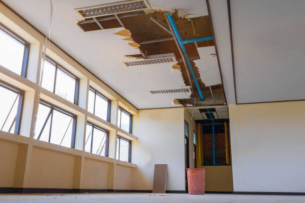 Best Water damage restoration specialists  in Clay City, KY