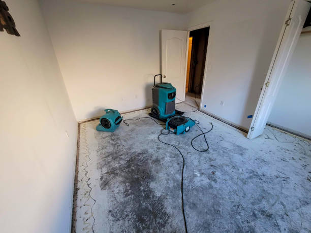 Best Local water damage restoration  in Clay City, KY