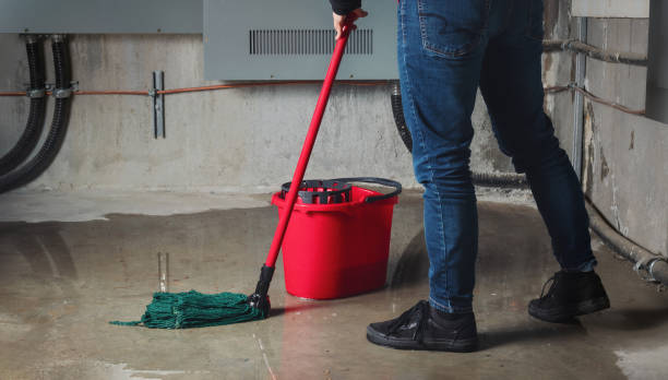 Trusted KY Water damage restoration Experts