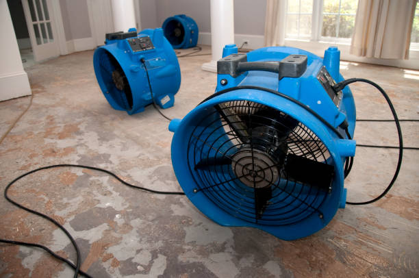Best Ceiling water damage repair  in Clay City, KY