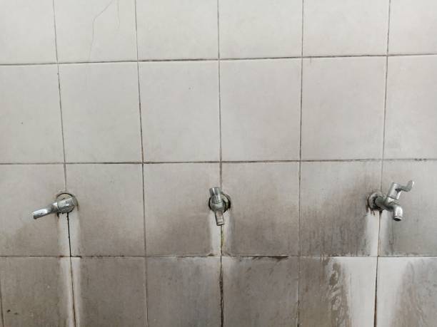 Best Water damage repair service  in Clay City, KY