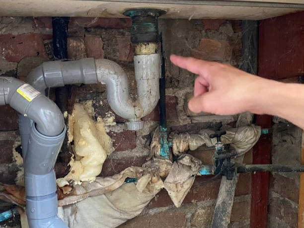Best Carpet water damage restoration  in Clay City, KY