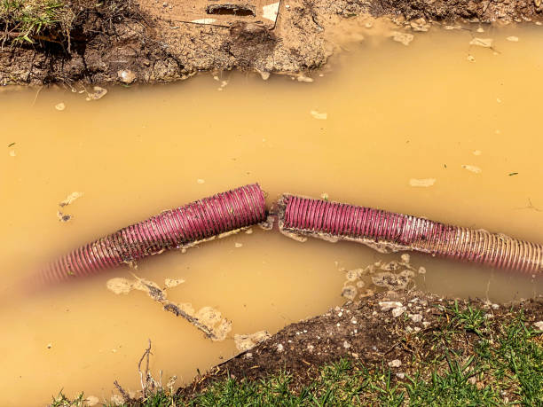 Best Water damage restoration near me  in Clay City, KY